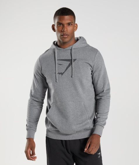 Men's Gymshark Sharkhead Infill Hoodie Grey | CA 30D657